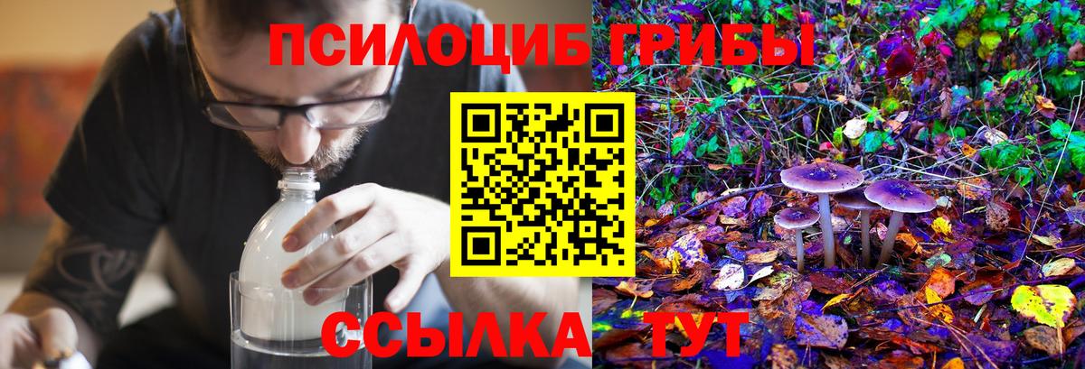 Галлюциногенные грибы MAGIC MUSHROOMS  Вход с VPN  Нефтеюганск 