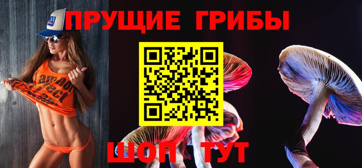 Псилоцибиновые грибы Psilocybine cubensis Нефтеюганск